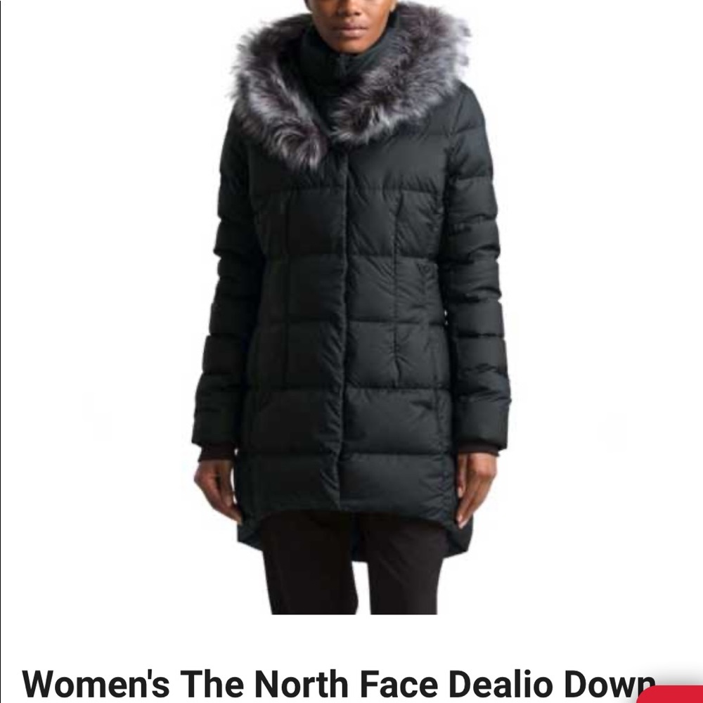 TNF Women’s Dealio Down Parka